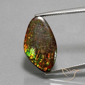 10.29ct 天然 彩色 菊石, 花式切割, 不透明