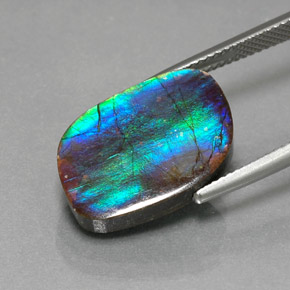 8.79克拉天然多色菊石宝石，异形，17.9×12.5毫米，不透明