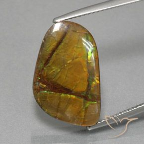 8.36ct 天然 彩色 菊石, 花式切割, 不透明