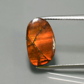 5.02克拉天然菊石，异形，不透明