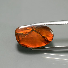 5.02克拉天然菊石，异形，不透明