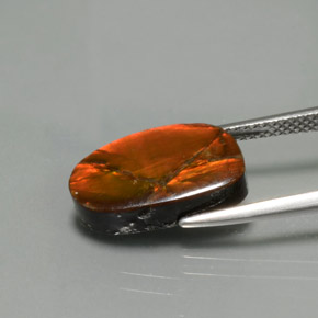 5.02克拉天然菊石，异形，不透明