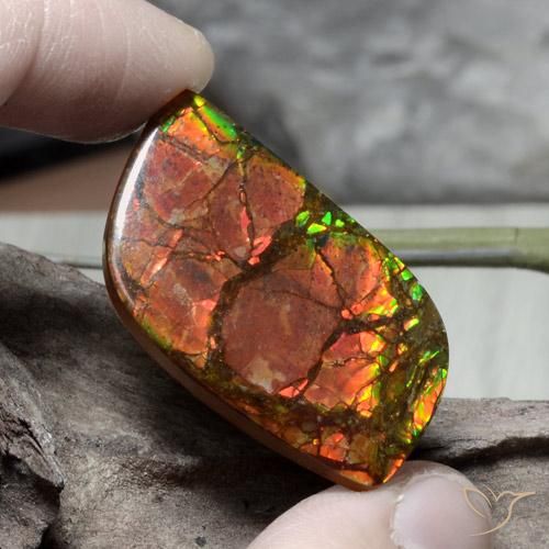 26.89ct 天然 彩色 菊石, 花式切割, 不透明