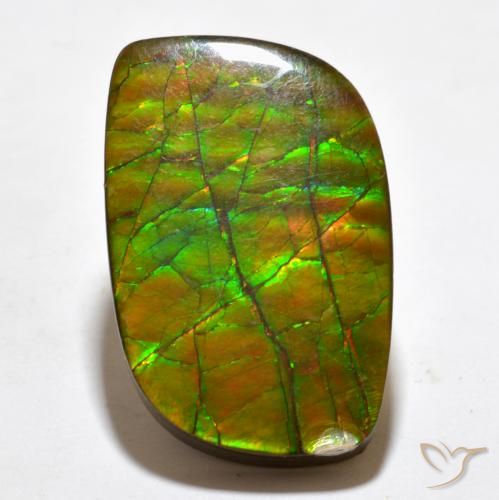 19.27ct 天然 彩色 菊石, 花式切割, 不透明