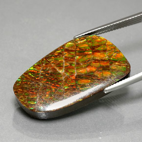 30.98克拉天然多色菊石宝石，异形，29.5×16.8毫米，不透明