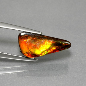 3.13克拉天然多色菊石宝石，异形，14.6×6.7毫米，不透明
