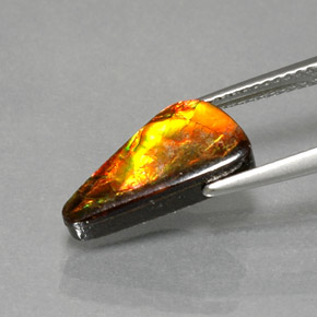 3.13克拉天然多色菊石宝石，异形，14.6×6.7毫米，不透明