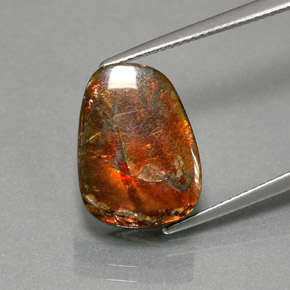 7.76克拉天然多色菊石宝石，异形，15.3×11.5毫米，不透明