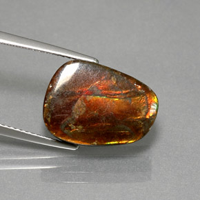 7.76克拉天然多色菊石宝石，异形，15.3×11.5毫米，不透明