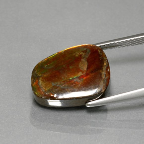7.76克拉天然多色菊石宝石，异形，15.3×11.5毫米，不透明