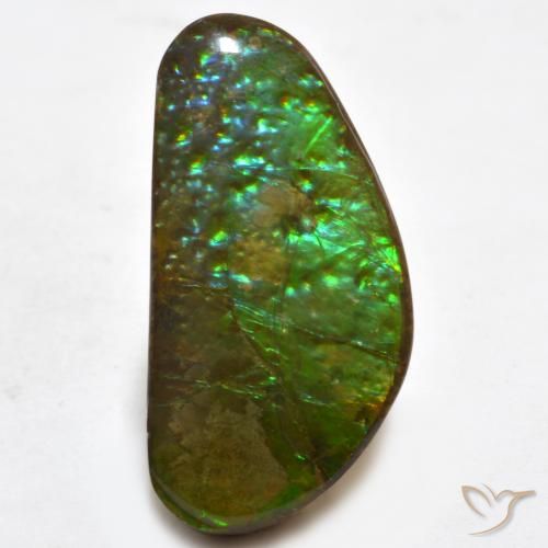16.81ct 天然 彩色 菊石, 花式切割, 不透明