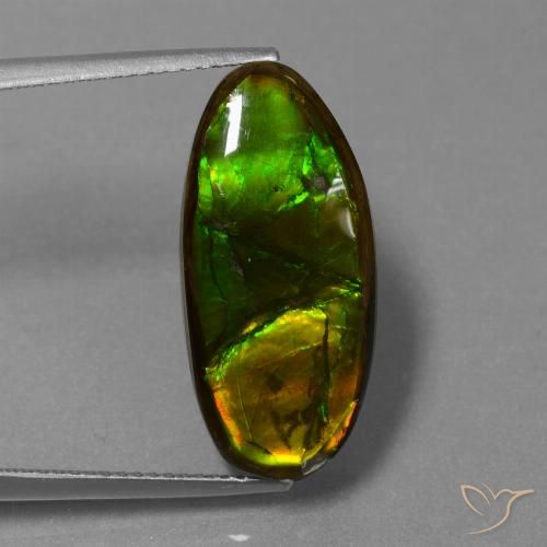 10.85ct 天然 彩色 菊石, 花式切割, 不透明