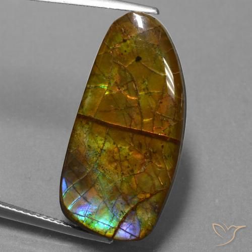 13.89ct 天然 彩色 菊石, 花式切割, 不透明