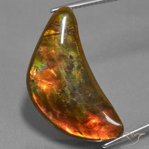 17.19ct 天然 彩色 菊石, 花式切割, 不透明