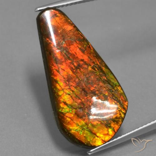 14.87ct 天然 彩色 菊石, 花式切割, 不透明
