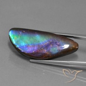 21.30克拉天然多色菊石宝石，异形，33.9×13.8毫米，不透明