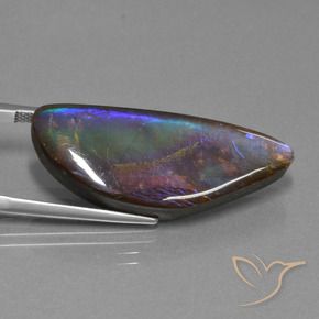 21.30克拉天然多色菊石宝石，异形，33.9×13.8毫米，不透明