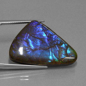 22.64克拉天然菊石，异形，不透明