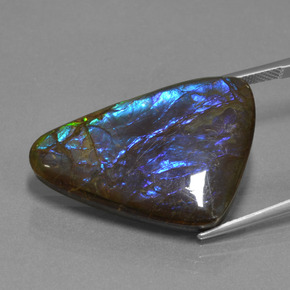 22.64克拉天然菊石，异形，不透明