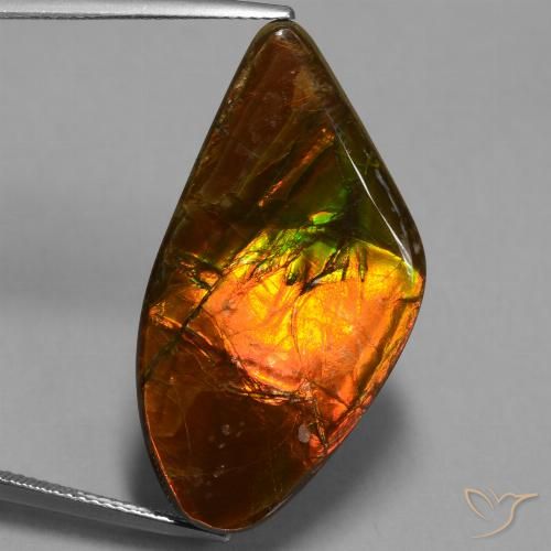 21.71ct 天然 彩色 菊石, 花式切割, 不透明