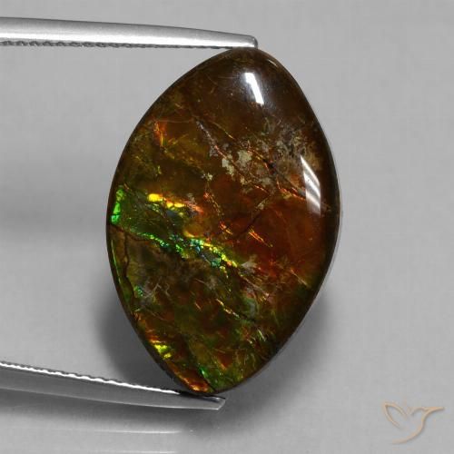 13.51ct 天然 彩色 菊石, 榄尖形, 不透明