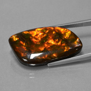 20.42克拉天然菊石，异形，不透明