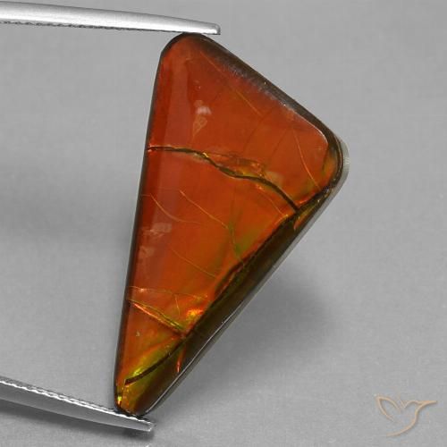 17.93ct 天然 彩色 菊石, 胖三角形, 不透明