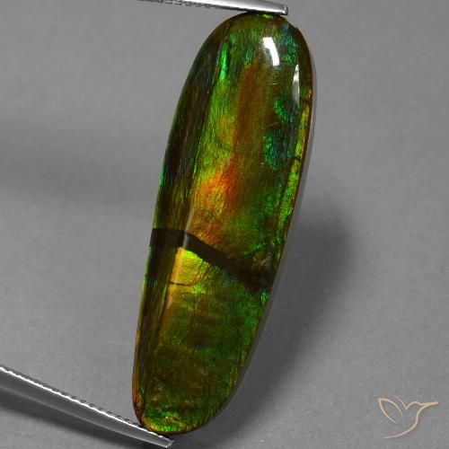 23.33ct 天然 彩色 菊石, 花式切割, 不透明