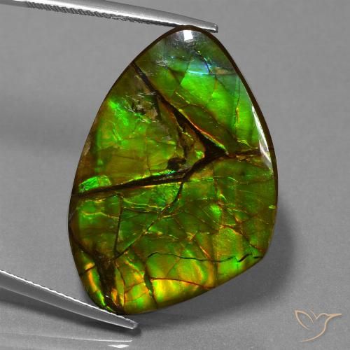 24.51ct 天然 彩色 菊石, 花式切割, 不透明