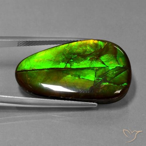 21.60ct 天然 彩色 菊石, 花式切割, 不透明