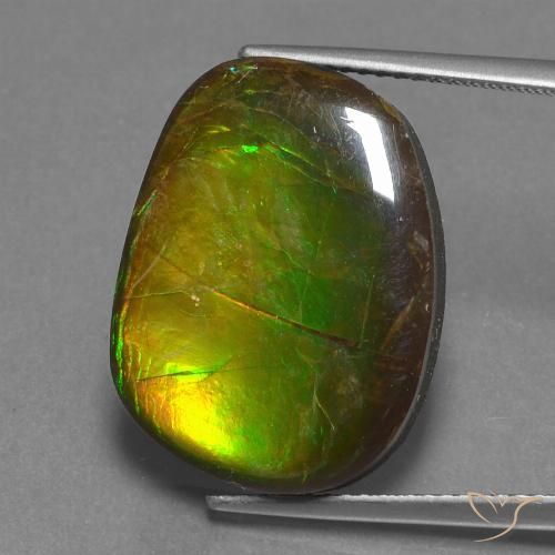 14.13ct 天然 彩色 菊石, 花式切割, 不透明