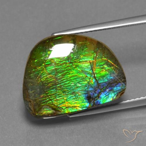 12.44ct 天然 彩色 菊石, 花式切割, 不透明
