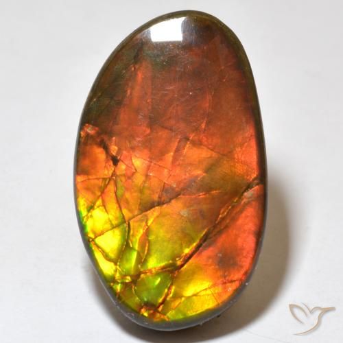 21.93ct 天然 彩色 菊石, 花式切割, 不透明
