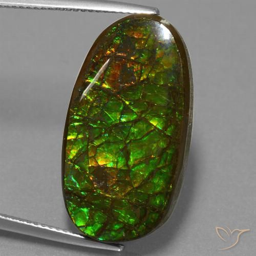 21.50ct 天然 彩色 菊石, 花式切割, 不透明