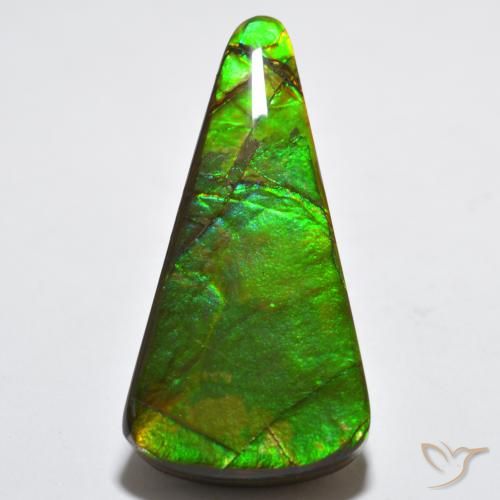 15.83ct 天然 彩色 菊石, 胖三角形, 不透明