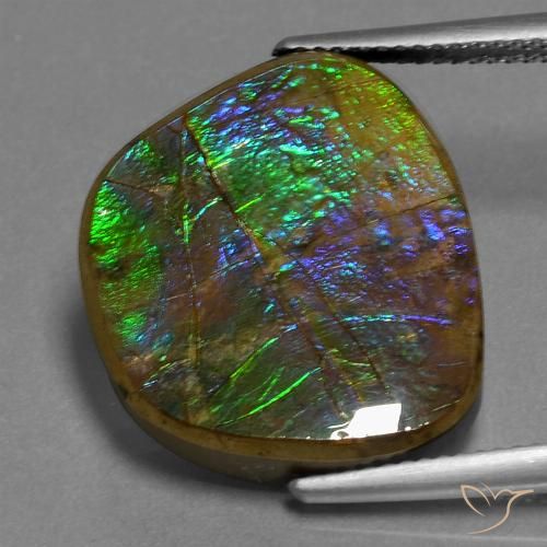14.96ct 天然 彩色 菊石, 花式切割, 不透明