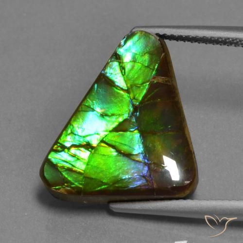 11.30ct 天然 彩色 菊石, 胖三角形, 不透明