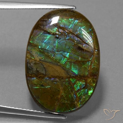 18.60ct 天然 彩色 菊石, 椭圆形, 不透明