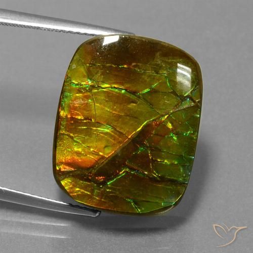 14.83ct 天然 彩色 菊石, 软垫, 不透明