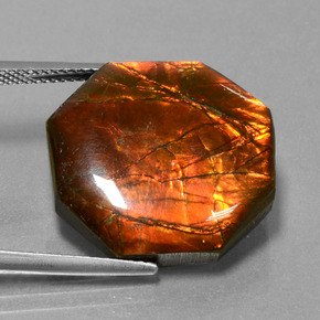 19.17克拉天然菊石宝石，祖母绿式切割，不透明