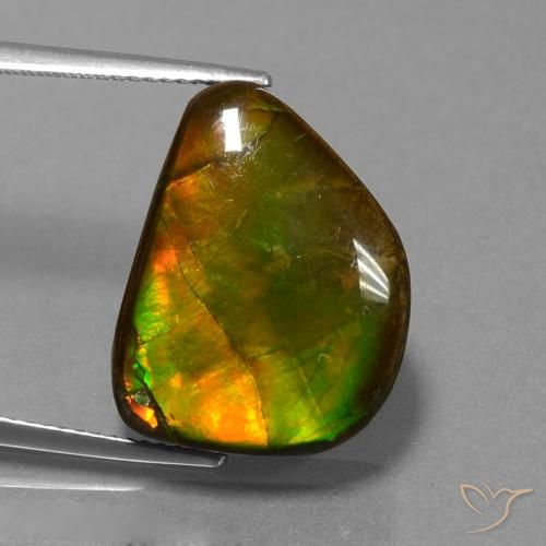 13.25ct 天然 彩色 菊石, 花式切割, 不透明