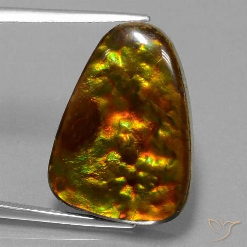 15.67ct 天然 彩色 菊石, 胖三角形, 不透明