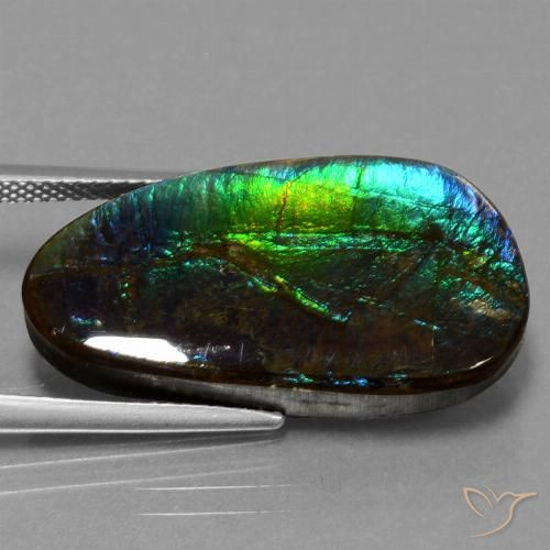 16.95ct 天然 彩色 菊石, 花式切割, 不透明