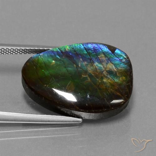 14.77ct 天然 彩色 菊石, 花式切割, 不透明