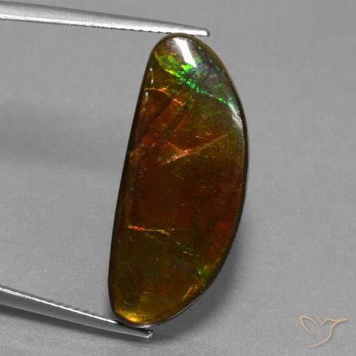 14.62ct 天然 彩色 菊石, 花式切割, 不透明