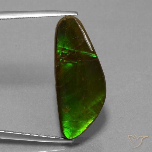10.78ct 天然 彩色 菊石, 花式切割, 不透明