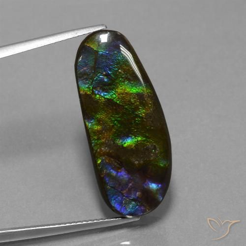 16.37ct 天然 彩色 菊石, 花式切割, 不透明