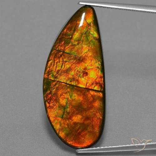 18.94ct 天然 彩色 菊石, 花式切割, 不透明