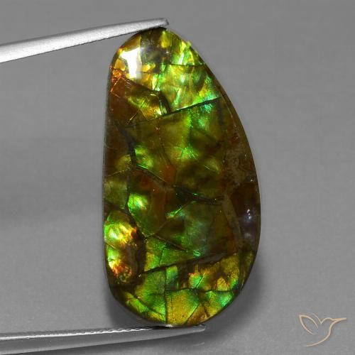 18.96ct 天然 彩色 菊石, 花式切割, 不透明