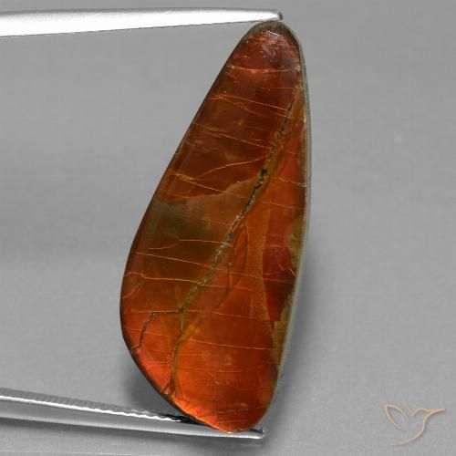 13.94ct 天然 彩色 菊石, 花式切割, 不透明